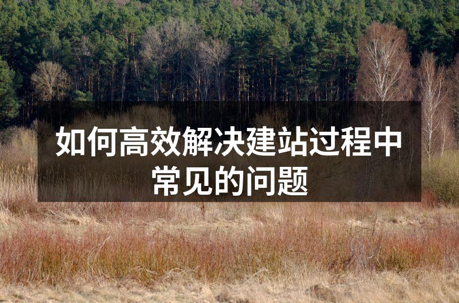 如何高效解决建站过程中常见的问题