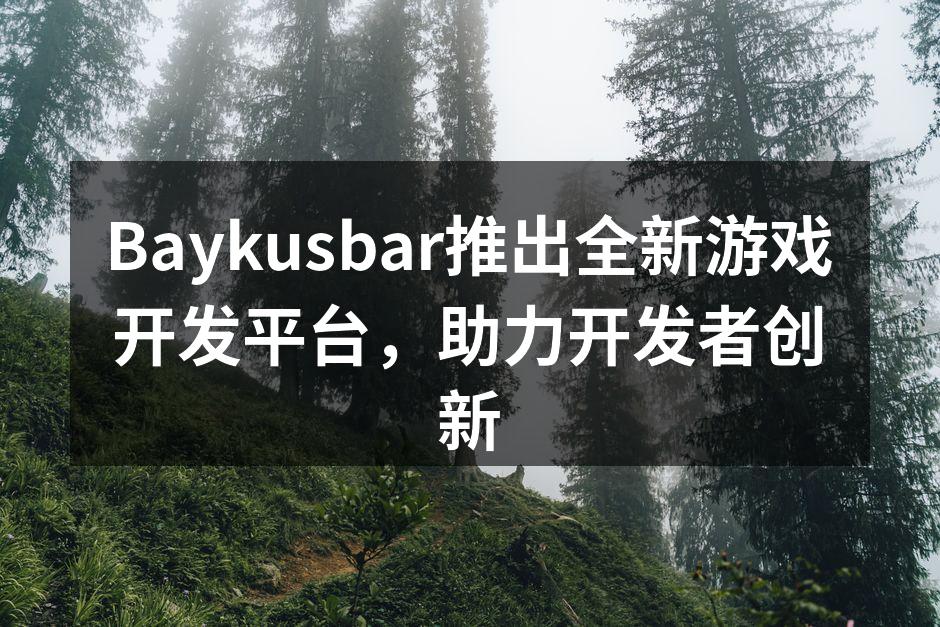 Baykusbar新平台界面展示