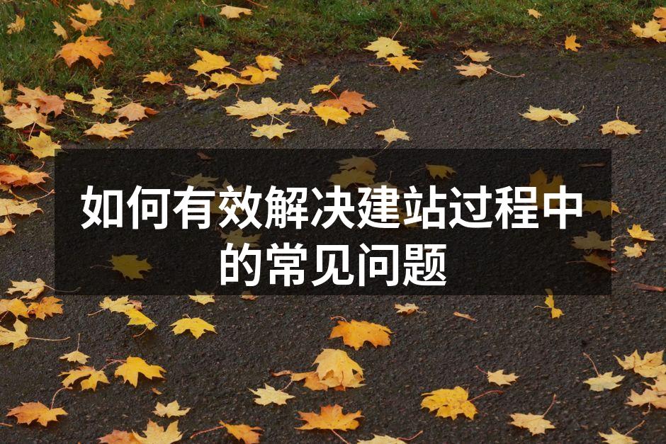 如何有效解决建站过程中的常见问题