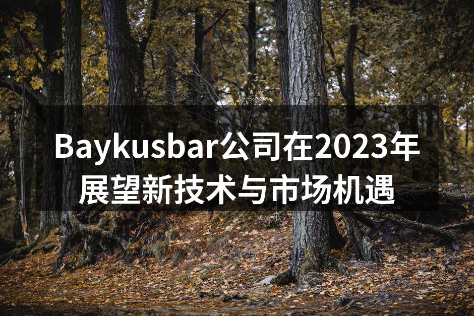 Baykusbar团队讨论新项目