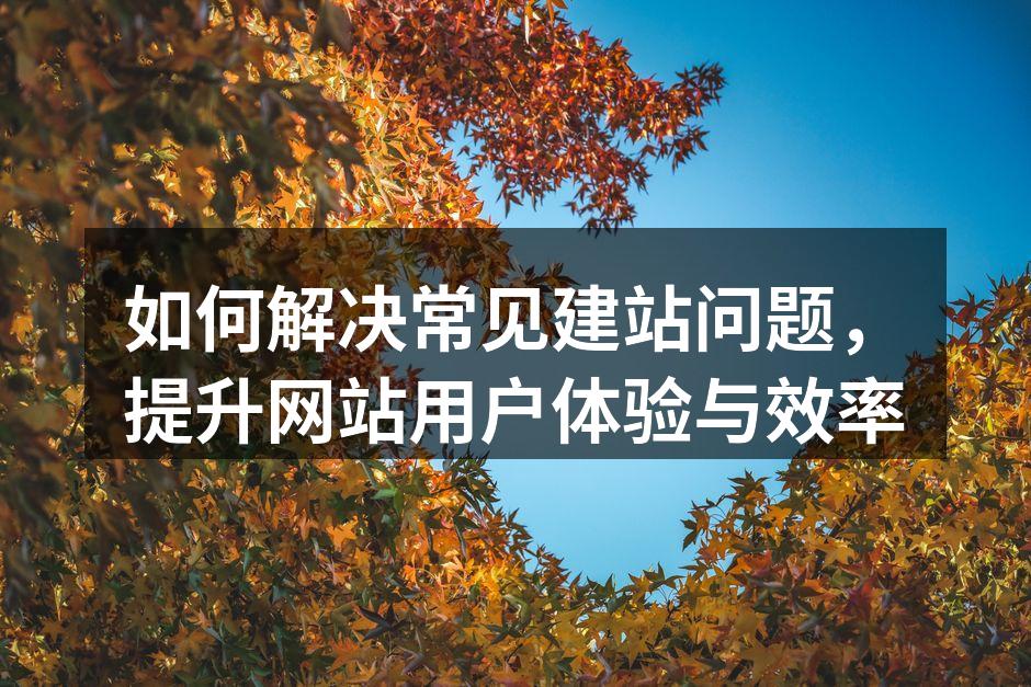 如何解决常见建站问题，提升网站用户体验与效率